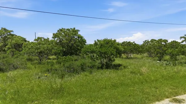 235 Neeleys Slough Drive, Graford, TX 76449