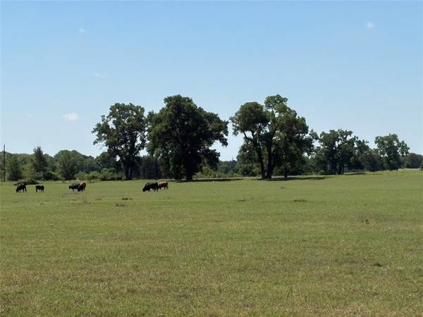 2966 Highway 679, Gorman, TX 76454