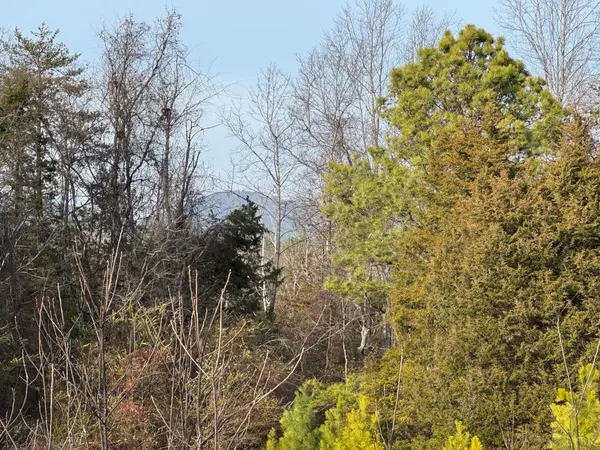 0 Watt Abbitt Road, Appomattox, VA 24522