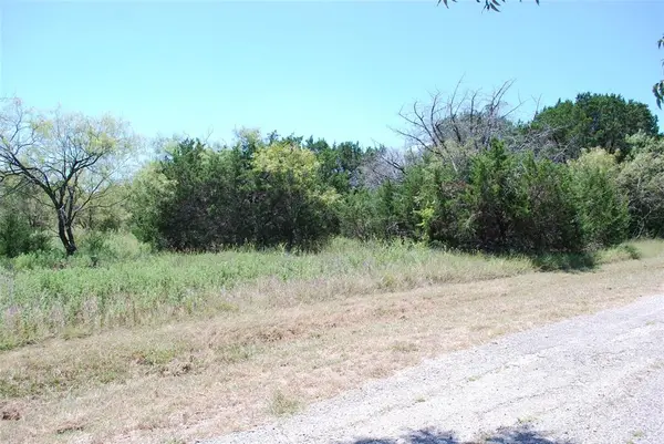 43131 Mountain Sage Drive, Whitney, TX 76692