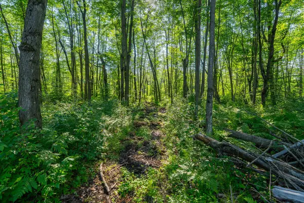 Lot 20 CONCESSION 4 RD, Alfred And Plantagenet, ON K0B 1L0