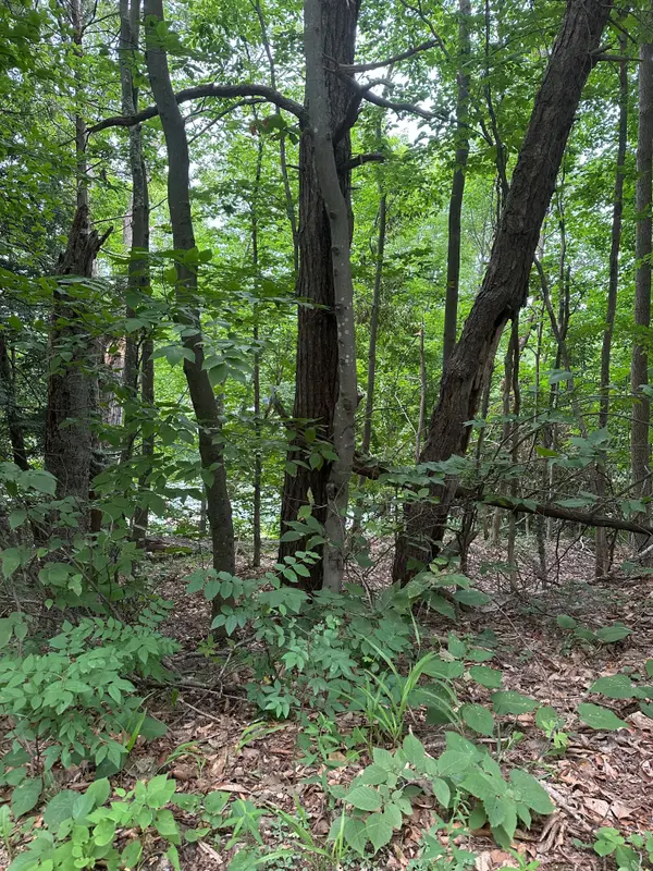 0 SILVER ROCK LN, Frontenac, ON K0H 2W0