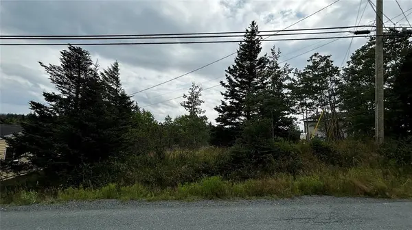 177 Bauline Line, Torbay, NL A1K 1H6