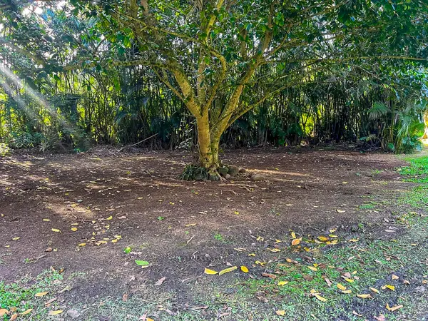 5-6671 KUHIO HWY, Hanalei, HI 96722
