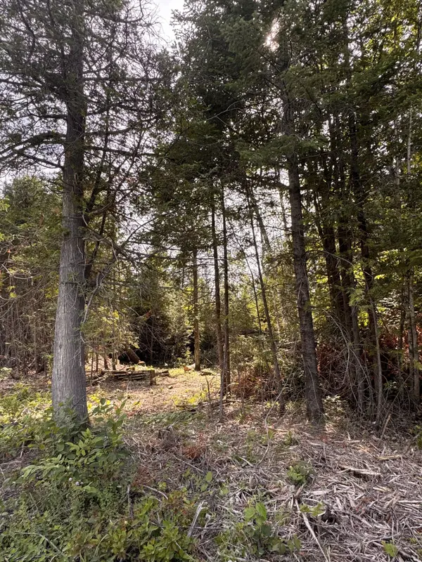 7110 Gallagher RD, Manotick - Kars - Rideau Twp And Area, ON K0A 2T0