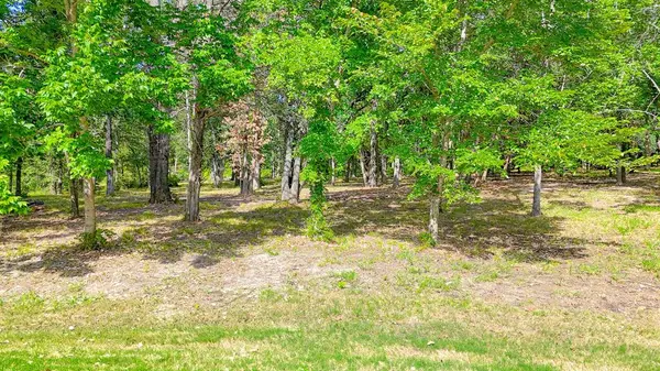 TBD Lot 618 Spur 294, Corsicana, TX 75109