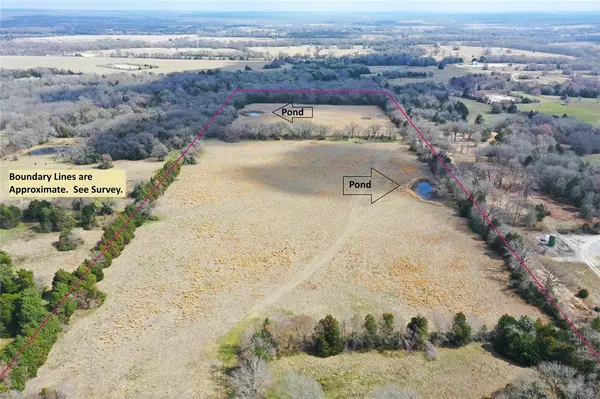 423 State Highway 75 S, Fairfield, TX 75840