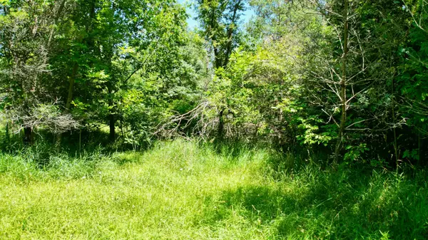 Part 1 & 2 Purple Valley RD, South Bruce Peninsula, ON N0H 2T0