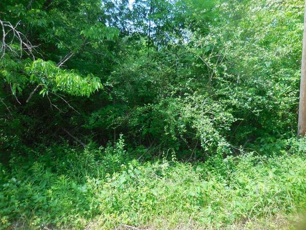 .38 Acre Garrett Avenue, East Tawakoni, TX 75472