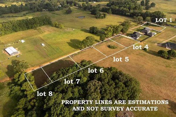 181 County Road 3421 (Lot 4), Bullard, TX 75757
