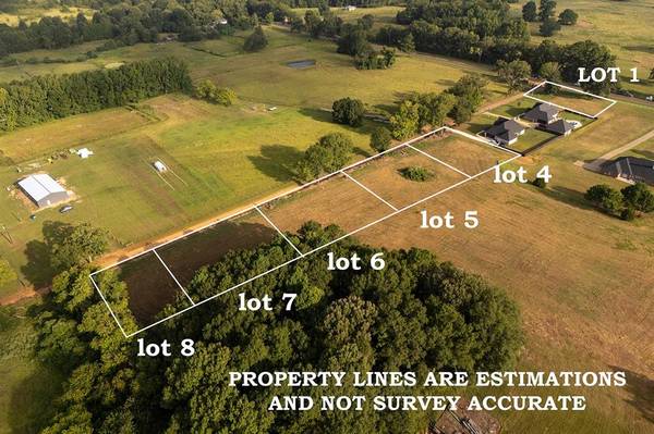 181 County Road 3421 (Lot 4), Bullard, TX 75757