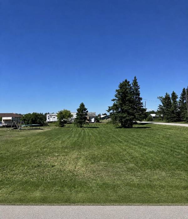 N Manila Rd Road TBD, Pickford Twp, MI 49774