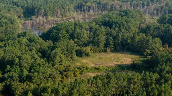 TBD Cr 461, Laneville, TX 75667