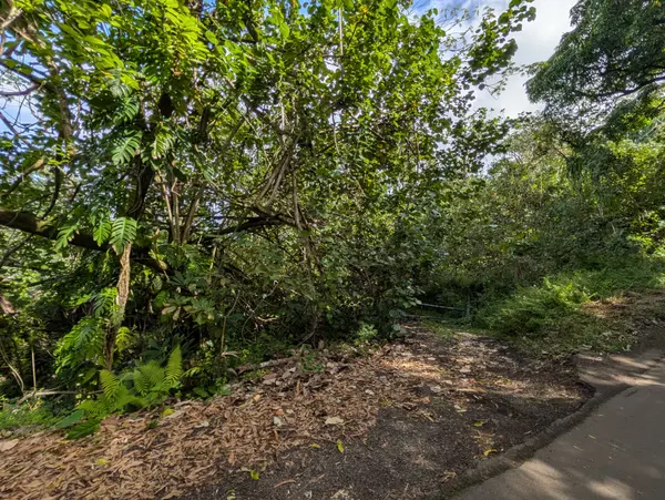 14-3963 GOVERNMENT BEACH RD, Pahoa, HI 96778