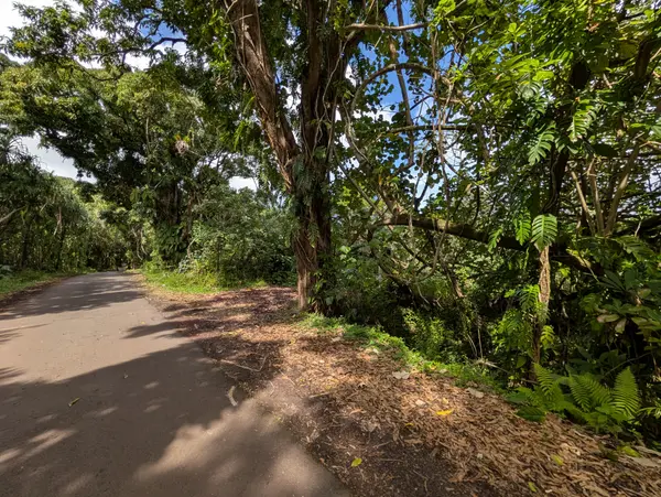 14-3963 GOVERNMENT BEACH RD, Pahoa, HI 96778