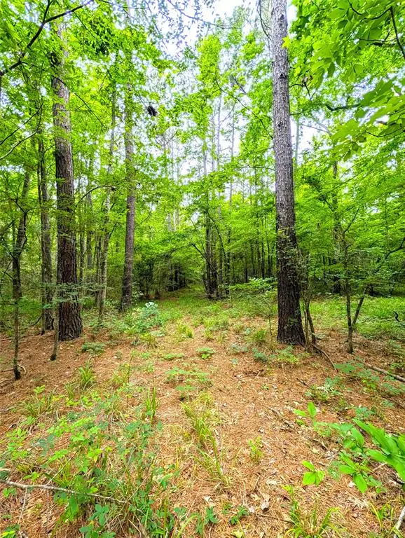 1931 County Road 4101, Jacksonville, TX 75766