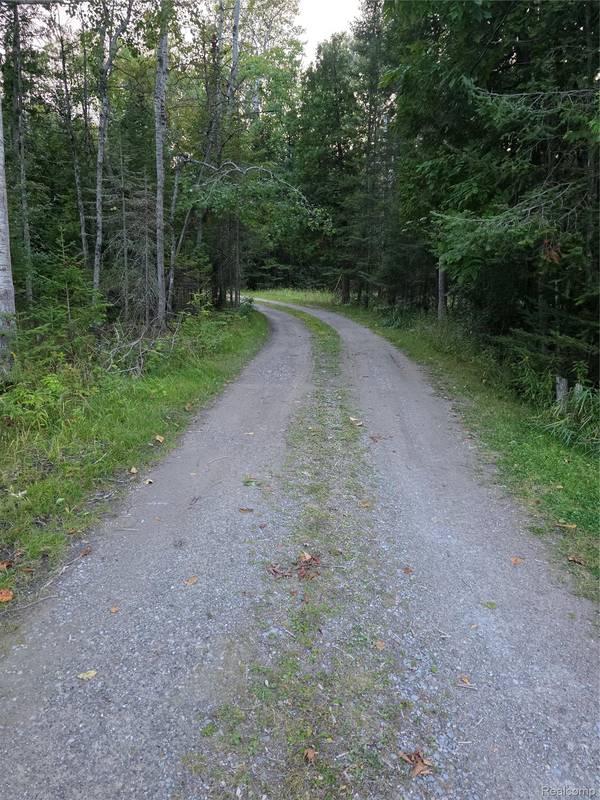 5136 Hardwood TRL, Alcona Township, MI 49747