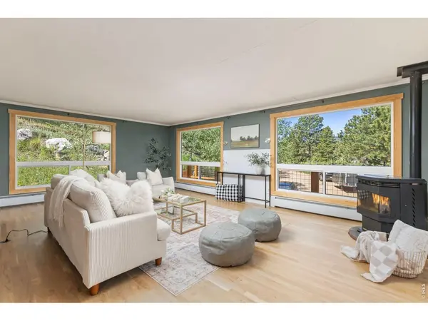 38 E Pine, Nederland, CO 80466