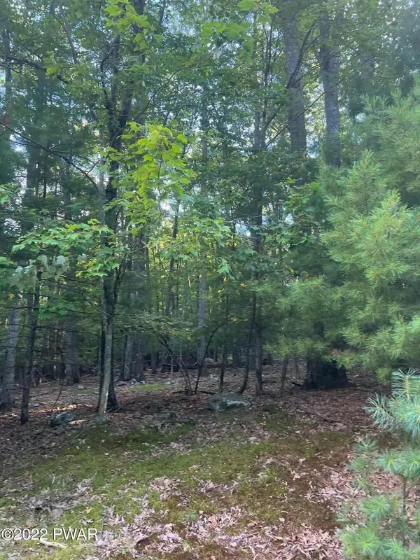20 Pine ST, Lakeville, PA 18438