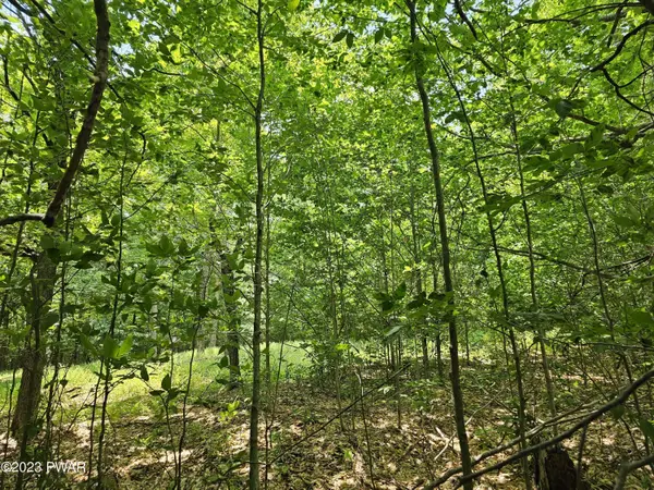 Lot 69 Stonegate RD, Equinunk, PA 18417