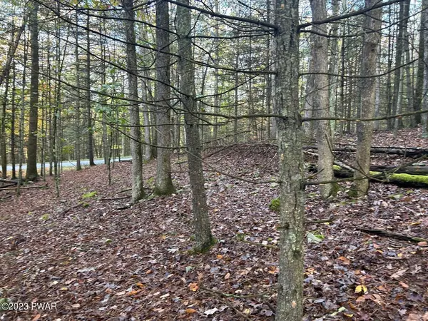 Lot 3 Cedar Ridge RD, Hawley, PA 18428