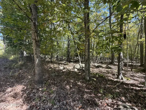 Paper Birch N, Tafton, PA 18464