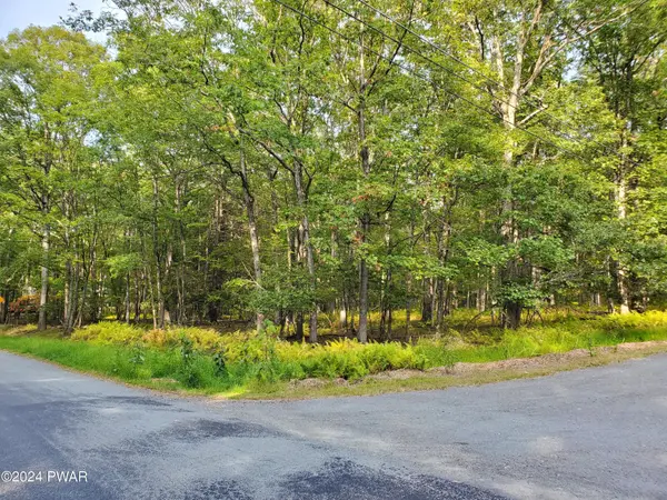 Lot 201 Tink Wig DR, Hawley, PA 18428