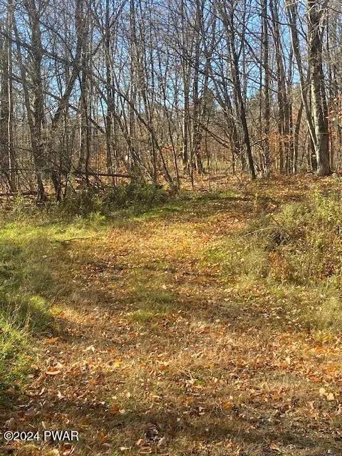 Rotten RD, Equinunk, PA 18417