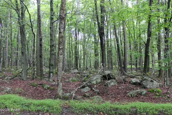 Lot 1906 Horizon DR, Greentown, PA 18426