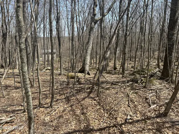 Lot 65 Laurel CIR, Hawley, PA 18428