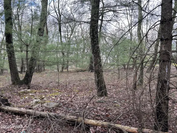 Lot 129 Pitch Pine RD, Dingmans Ferry, PA 18328