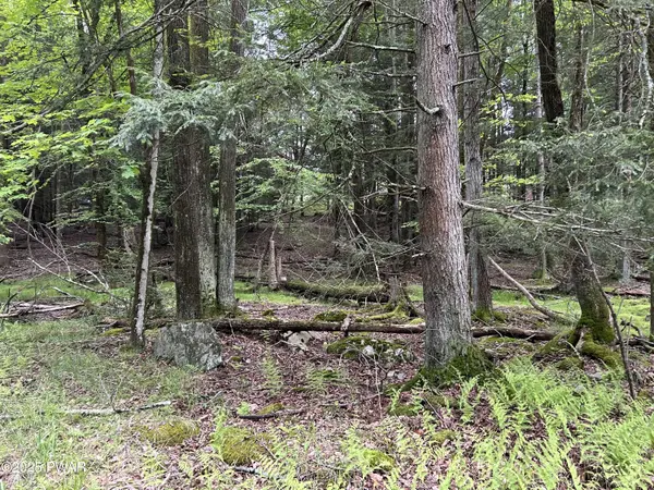 Lot 16 Orion WAY, Lake Ariel, PA 18436