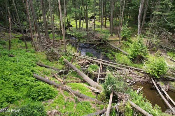 219 Woodpecker CT, Bushkill, PA 18324