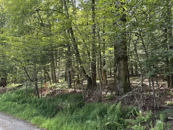 Wallenpaupack Drive, Greentown, PA 18426