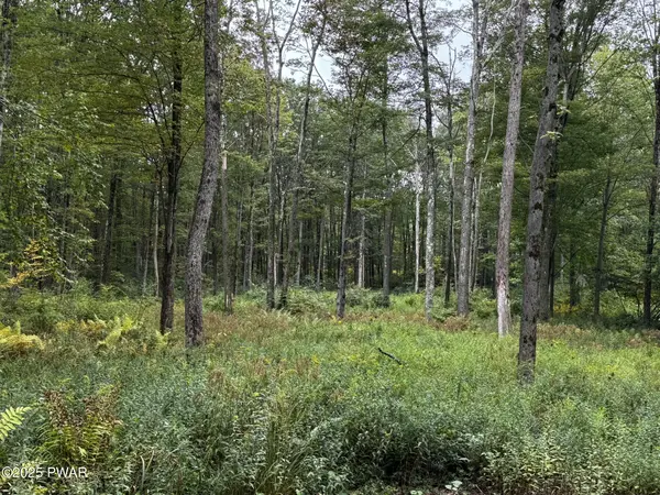 20 Oak LN, Waymart, PA 18472