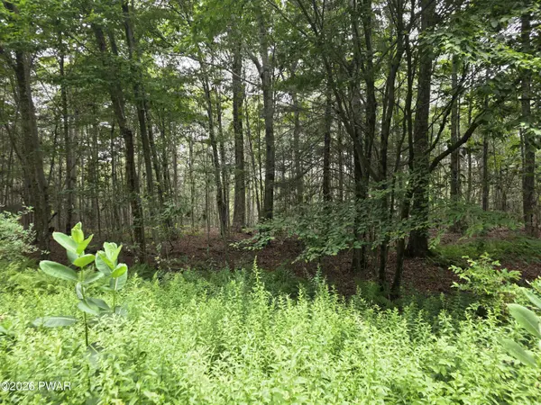 Lot113-117 Arthur DR, Newfoundland, PA 18445