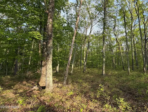 Lot 124 Springwood DR, Hawley, PA 18428
