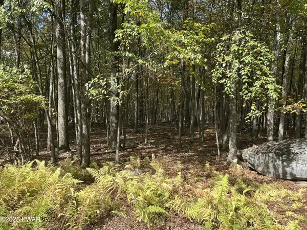Lot 251 W Chipmunk RD, Bushkill, PA 18324