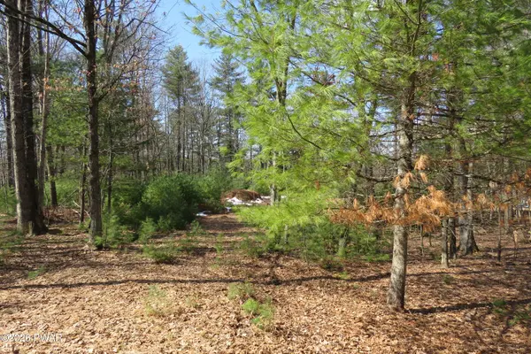 Lot 30 Ledgecrest RD, Hawley, PA 18428