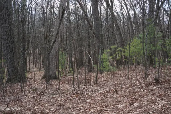 Lot #4 Roosie Road, Dingmans Ferry, PA 18328