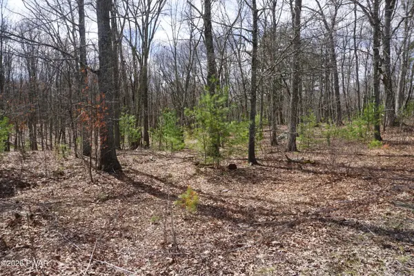 Lot #4 Roosie Road, Dingmans Ferry, PA 18328