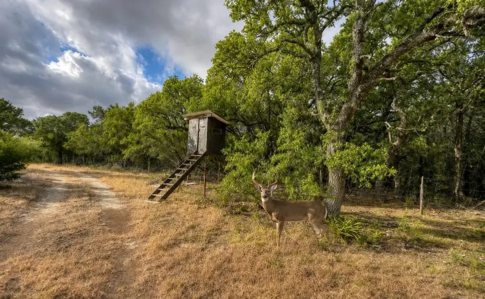 149 CR 103, Lampasas, TX 76550