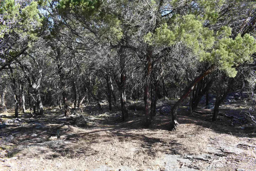 TBD Saddle Back RD, Horseshoe Bay, TX 78657