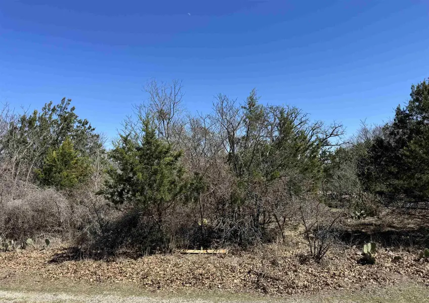 Lot 218 Western DR, Kingsland, TX 78639