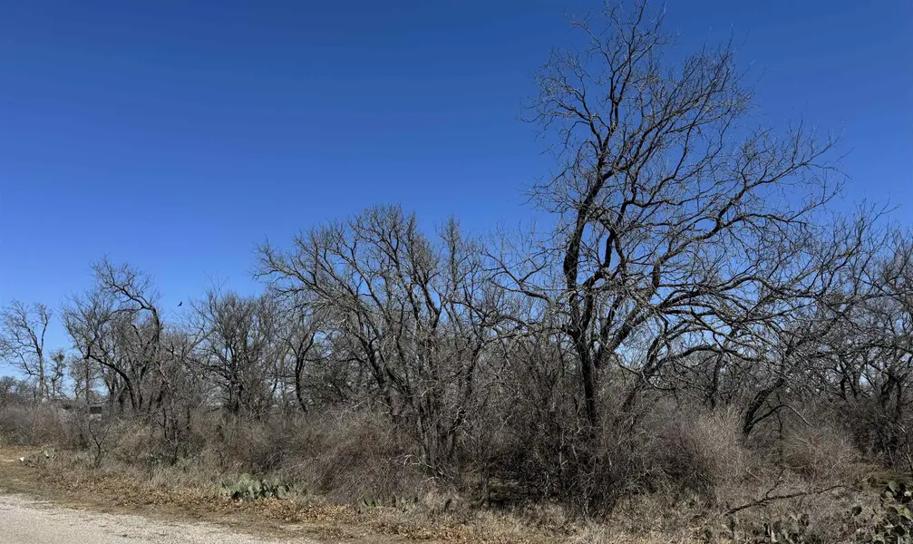 Lot 219 Western DR, Kingsland, TX 78639