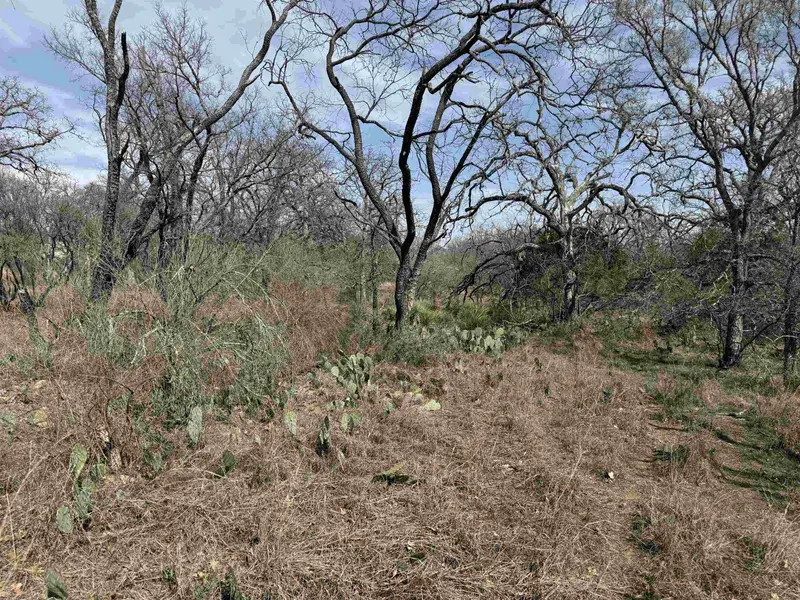 Lot 294 Pinemont DR, Kingsland, TX 78639