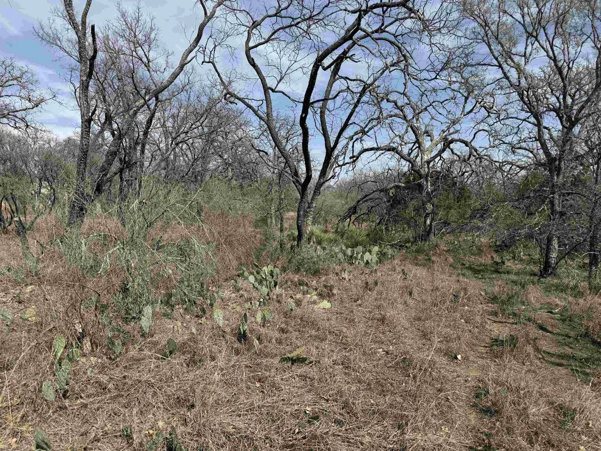 Lot 294 Pinemont DR, Kingsland, TX 78639
