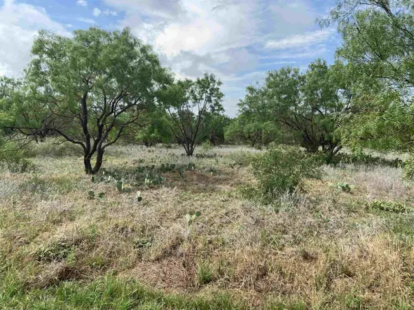 Lot 22 Lone Oak Drive, Burnet, TX 78639-9999