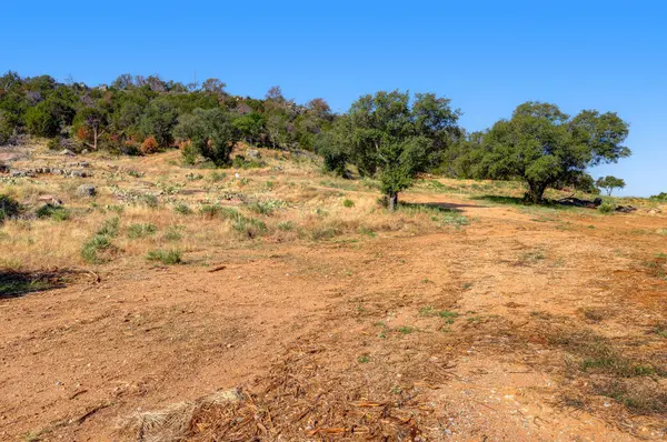 0000 Duchess Dell Lot 5B, Cottonwood Shores, TX 78657