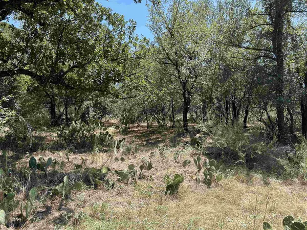 Air View Lot 534 BLVD, Sunrise Beach, TX 78643-11